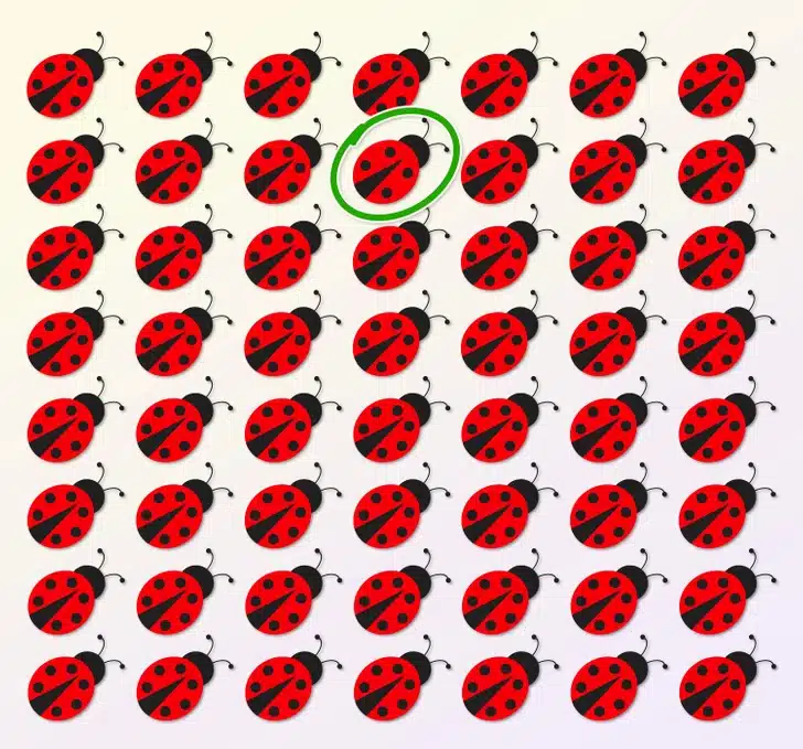 Ache a joaninha fora do padrão entre as joaninhas vermelhas Teste visual com várias joaninhas-vermelhas com pontos pretos