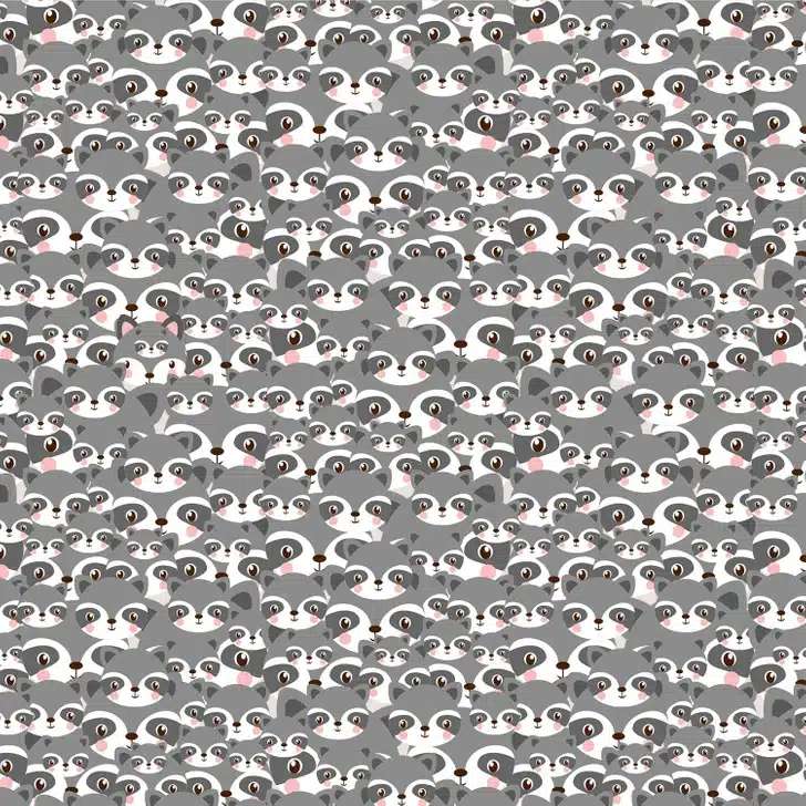 Ache o lobo camuflado neste padrão repetitivo de guaxinins. Teste visual com diversos guaxinins cinzas desenhados com olhos grandes