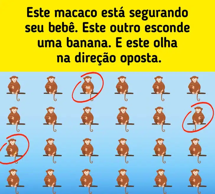 Jogo do macaco com detalhes variados. Teste visual com vários macacos sentados em galhos.