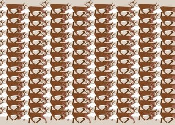 Desafio visual com um padrão repetitivo de cervos marrons, exibindo galhadas entrelaçadas sobre um fundo bege.
