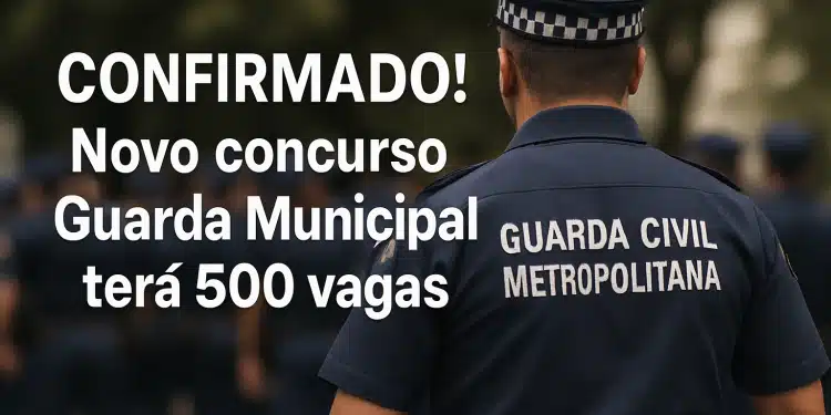 novo concusursp