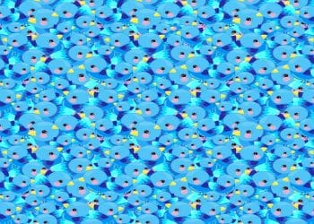 Desafio visual com uma ilustração colorida com muitos pássaros-azuis, estilo divertido e alegre, com bochechas rosadas e bicos amarelos.