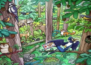 Desafio visual com uma ilustração colorida de vários animais da floresta em meio a árvores com pinhas, incluindo pássaros, raposa, guaxinim e coruja.