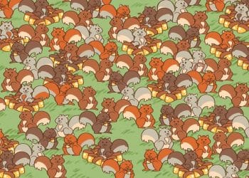 Desafio visual com um desenho colorido de vários esquilos em diferentes tons