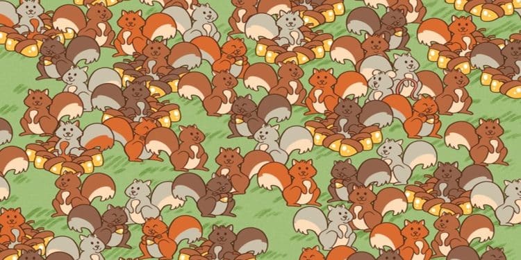 Desafio visual com um desenho colorido de vários esquilos em diferentes tons
