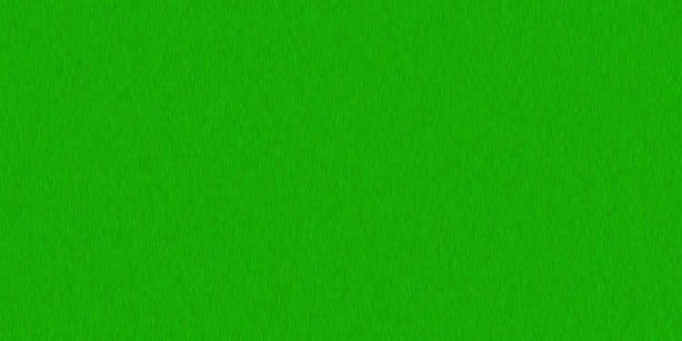 Teste visual com uma superfície verde com textura sutil e um padrão irregular