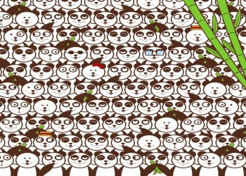 Teste visual com vários pandas parecidos e uma bola de futebol escondida