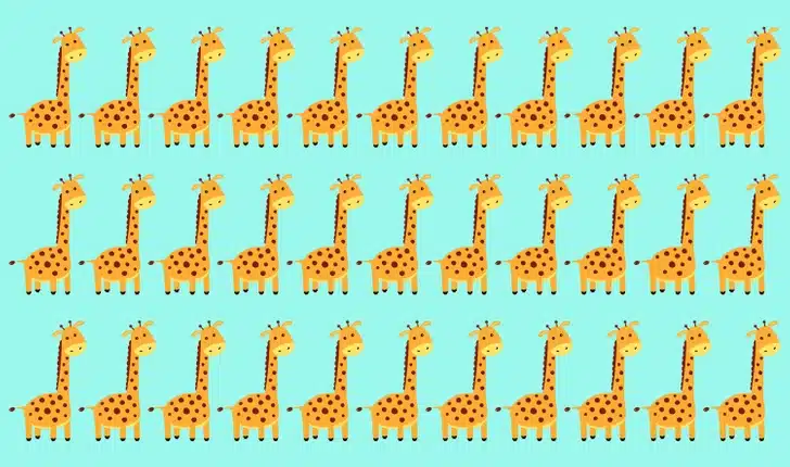Teste visual com várias girafas desenhadas, uma diferente entre elas.