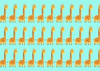 Teste visual com várias girafas desenhadas, uma diferente entre elas.