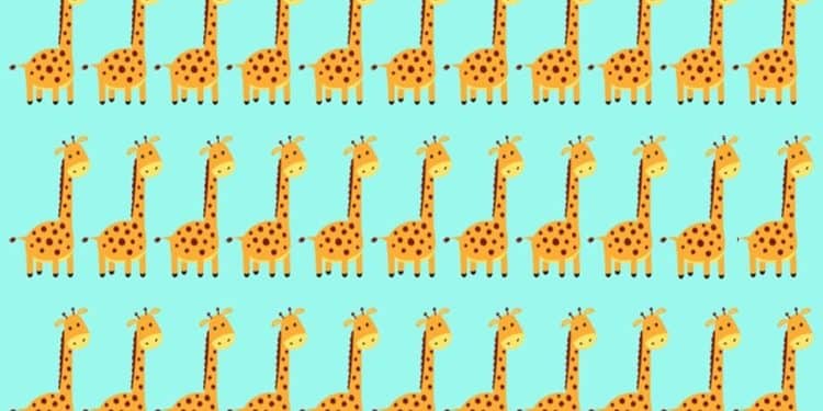 Teste visual com várias girafas desenhadas, uma diferente entre elas.