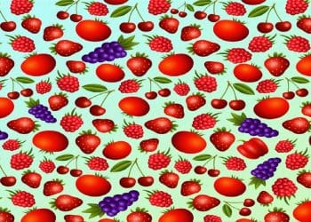 Teste visual com desenho repetido com morangos, cerejas, framboesas, tomates e uvas