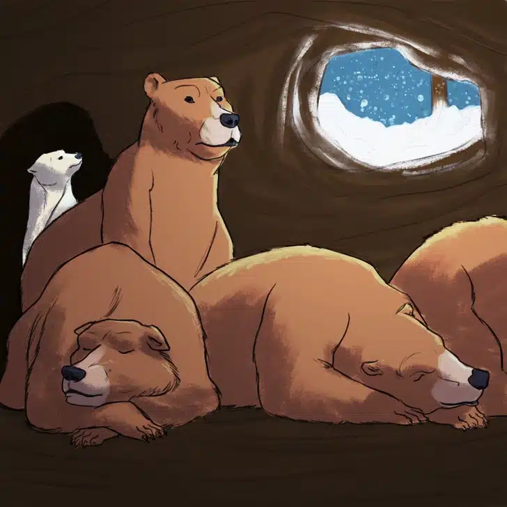 Teste sua atenção com três ursos marrons dormindo juntos e um urso polar acordado dentro de caverna com neve pela janela