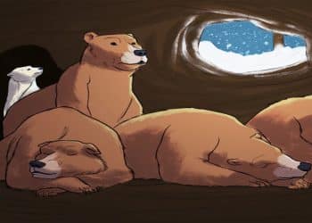 Teste sua atenção com três ursos marrons dormindo juntos e um urso polar acordado dentro de uma caverna com neve pela janela