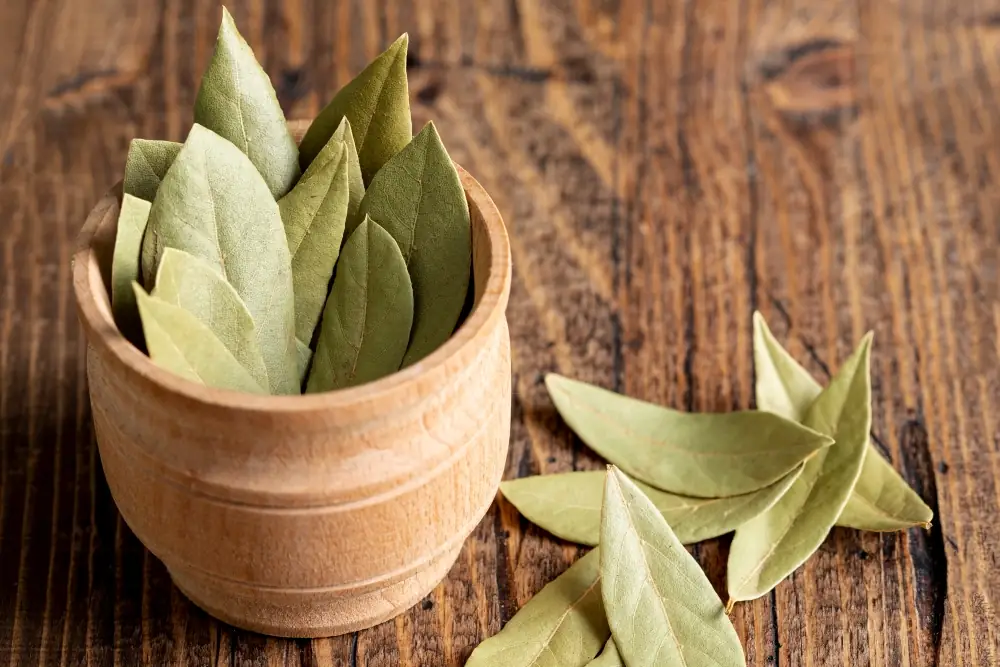 Folhas de louro secas em recipiente de madeira usadas no preparo de solução natural contra moscas