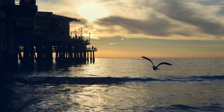 Silhueta de plataforma sobre o oceano ao pôr do sol com ave em voo representando o setor de carreiras offshore no Brasil