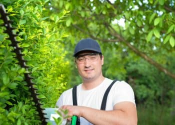 Homem de boné azul e óculos de proteção usa aparador de cerca viva em arbusto verde, simbolizando o curso Operador Florestal e Paisagístico do Pensar Cursos.
