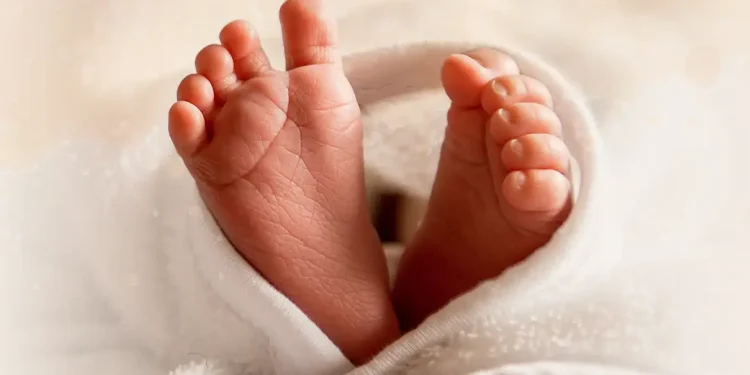 Pés delicados de recém-nascido envoltos em manta branca macia, simbolizando o início da vida e o significado do nome Noé