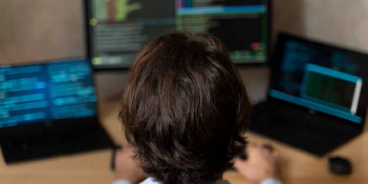 Profissional trabalhando em computador