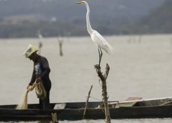 Pescador lança rede em canoa, situação ligada à exigência da entrevista do Seguro-Defeso