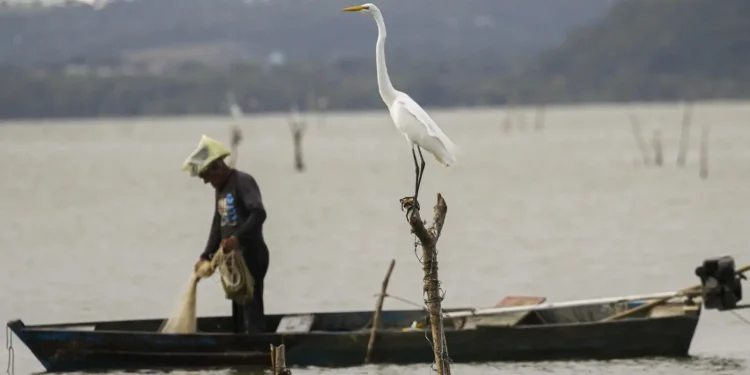 Pescador lança rede em canoa, situação ligada à exigência da entrevista do Seguro-Defeso