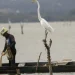 Pescador lança rede em canoa, situação ligada à exigência da entrevista do Seguro-Defeso