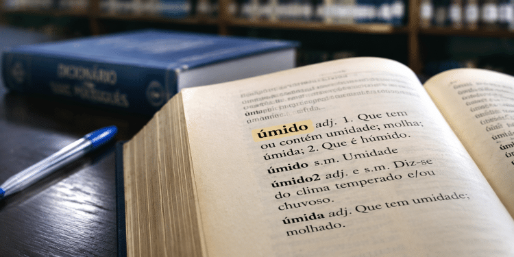 Página de dicionário destacando a palavra “úmido” com definição em português.