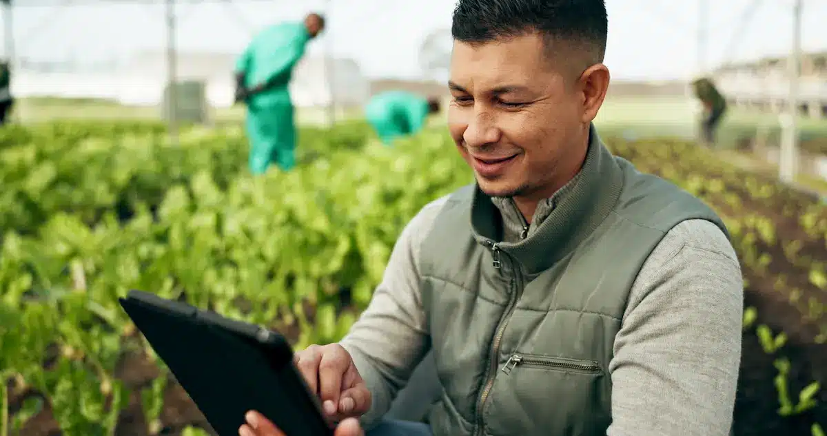 Profissional agrícola analisando cultivo em estufa com tablet para comparar atribuições das carreiras do campo.
