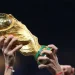 Troféu da Copa do Mundo levantado por torcedores durante a celebração de uma conquista no futebol internacional, simbolizando a dúvida entre semifinal, semi final e semi-final.