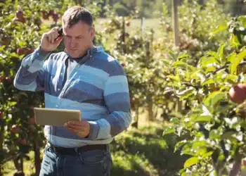 Profissional do setor agrícola analisando informações em tablet durante atividade em uma plantação.