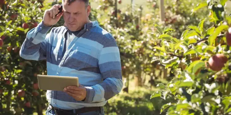 Profissional do setor agrícola analisando informações em tablet durante atividade em uma plantação.