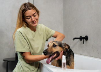 Mulher dá banho em cachorro em banheiro moderno.