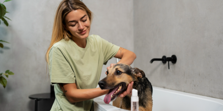 Mulher dá banho em cachorro em banheiro moderno.