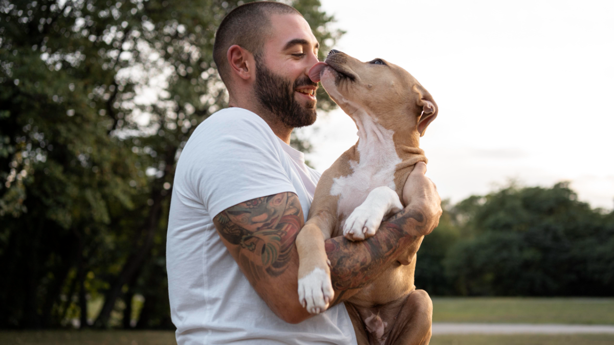 Homem tatuado sorri ao ser lambido por cachorro no parque ao entardecer.
