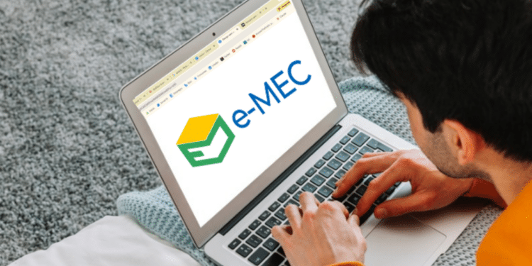 Usuário acessa sistema e-MEC do Ministério da Educação em notebook.