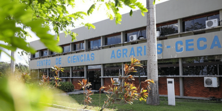 Fachada do Centro de Ciências Agrárias da UFAL em destaque com vegetação.