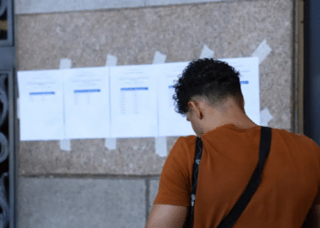 Candidato consulta lista de aprovados em concurso público após autorização de nomeações do CNU para Auditor-Fiscal do Trabalho no MTE.