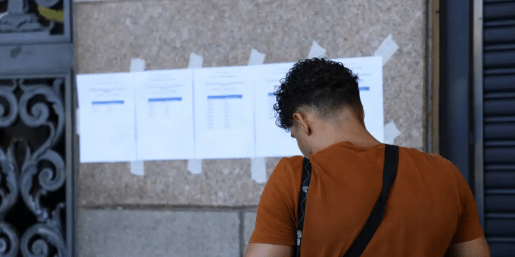 Candidato consulta lista de aprovados em concurso público após autorização de nomeações do CNU para Auditor-Fiscal do Trabalho no MTE.