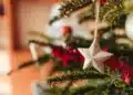 Árvore de Natal representa o período de recesso de fim de ano definido para servidores públicos federais.