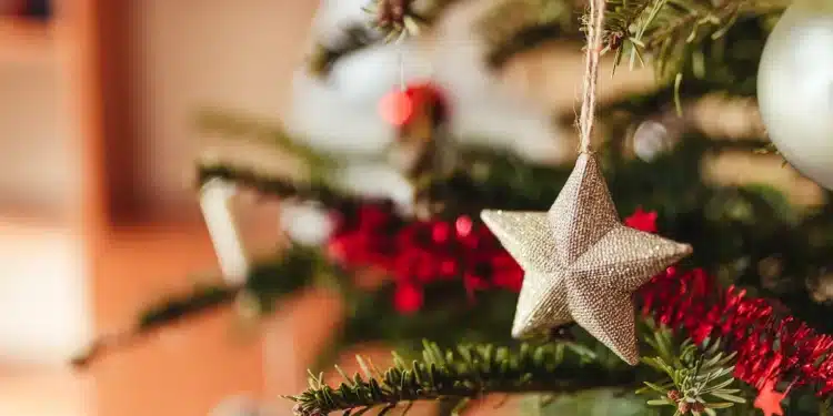 Árvore de Natal representa o período de recesso de fim de ano definido para servidores públicos federais.