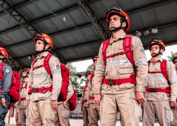 Bombeiros militares uniformizados durante treinamento em corporação de segurança pública.