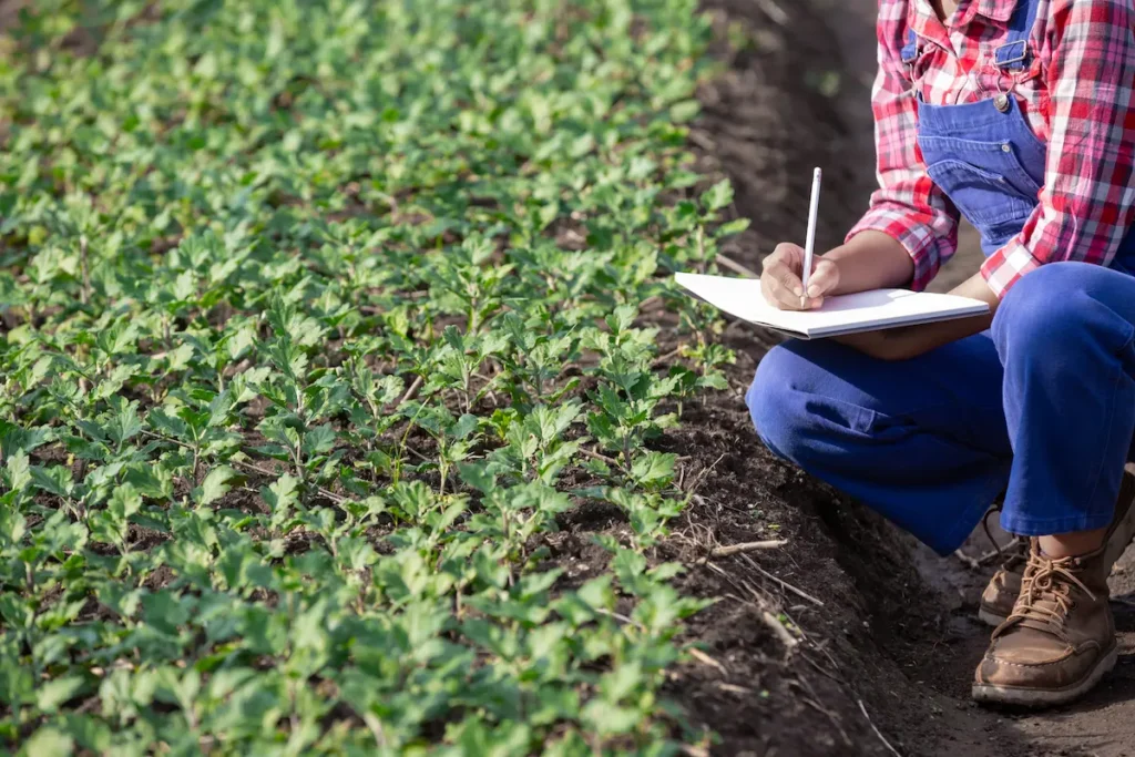 Pessoa realizando anotação em área agrícola com plantas verdes, representando cursos técnicos do Pronatec voltados à sustentabilidade e meio ambiente.