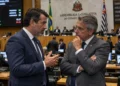 Deputados conversam em plenário durante sessão legislativa, ilustrando as diferenças entre as funções de deputado estadual e federal.