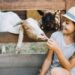 Menina de chapéu alimenta cabra branca com madeira ao fundo e outra cabra atrás, simbolizando o feminino dos animais.
