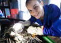 Imagem ilustrativa: jovem de macacão trabalha em motor de carro, cena ligada ao Programa Aprendiz Samarco