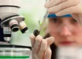 Jovem em laboratório representa estudantes do Ensino Médio e da Graduação interessadas em seguir carreira científica.