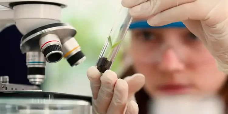 Jovem em laboratório representa estudantes do Ensino Médio e da Graduação interessadas em seguir carreira científica.