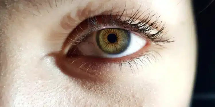 Olho humano com íris verde e detalhes sob luz intensa.