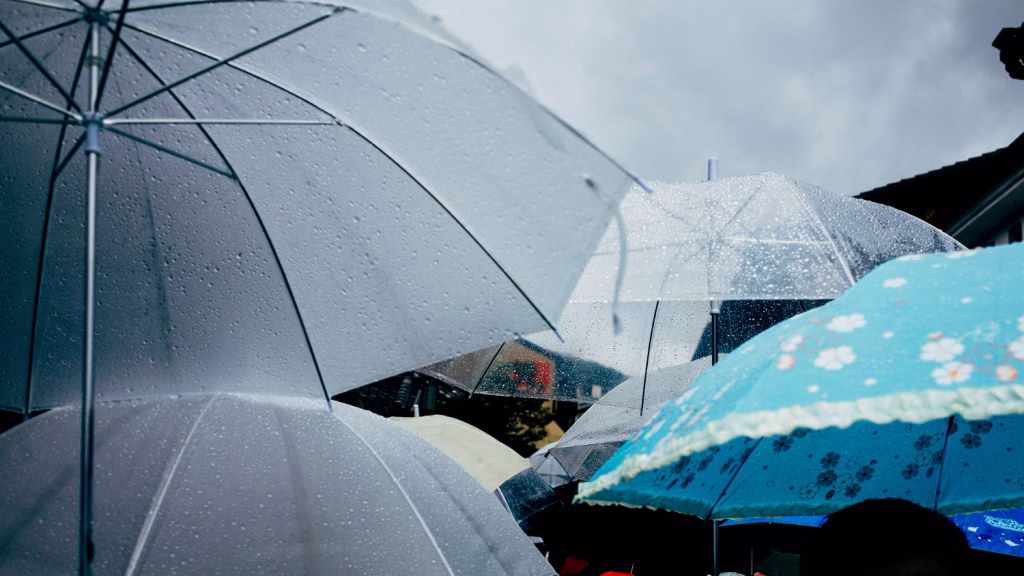 Imagem ilustrativa de vários guarda-chuvas transparentes e um azul com estampa de flores, cobertos de gotas de chuva sob céu nublado, ligada ao uso de pluvial ou fluvial no dia a dia